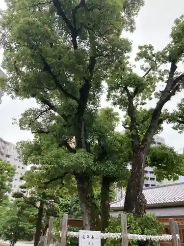 蒲田八幡神社(東京都)