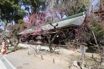 北野天満宮(京都府)