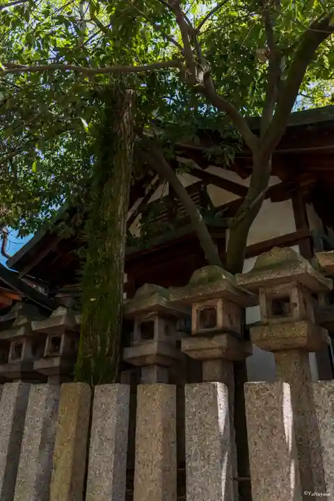 石切劔箭神社(大阪府)