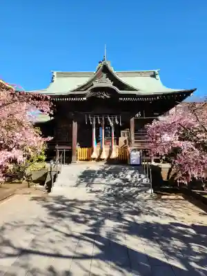 桜神宮の{uncategorized: "未分類", other: "その他", undefined: "問題あり", building: "その他建物", grave: "お墓", sacred_gate: "鳥居", guardian: "狛犬", statue: "像", buddha: "仏像", history: "歴史", nature: "自然", garden: "庭園", animal: "動物", pagoda: "塔", temizu: "手水舎", mountain_gate: "山門・神門", sanctuary: "本殿・本堂", subordinate: "末社・摂社", art: "芸術", scenery: "景色", jizo: "地蔵", ema: "絵馬", goshuin: "御朱印", omikuji: "おみくじ", items: "授与品その他", amulet: "お守り", goshuincho: "御朱印帳", eats: "食事", festival: "お祭り", votive_dance: "神楽", shichigosan: "七五三参", wedding: "結婚式", experience: "体験その他", initially: "初詣", around: "周辺", anti_infection: "感染症対策"}