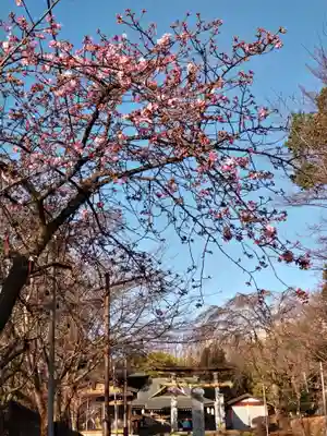 札次神社(東京都)