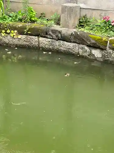 磐井神社(東京都)