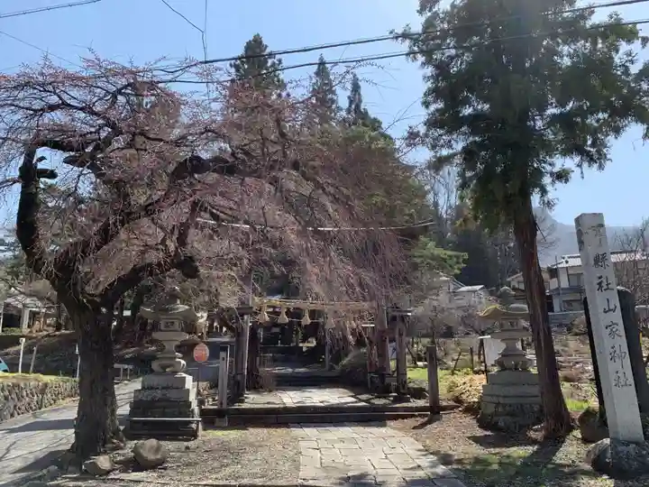 山家神社の自然