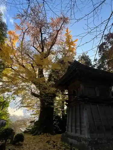 松尾寺(京都府)
