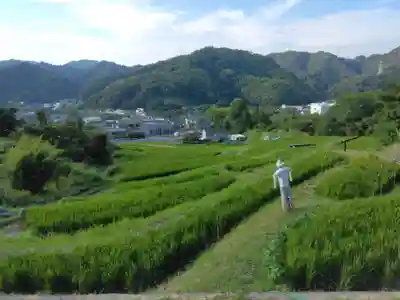 杉山神社（葉山・上山口）(神奈川県)