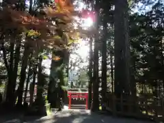 須山浅間神社の自然