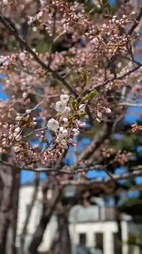 烈々布神社の自然