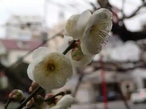 静岡天満宮の自然