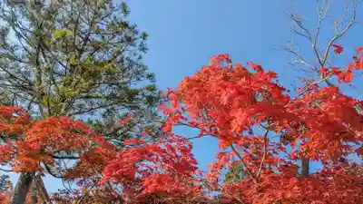 鍬山神社(京都府)
