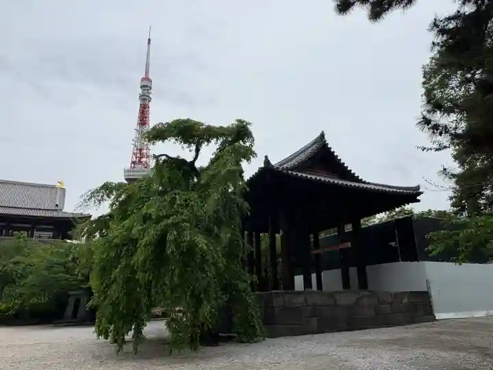 増上寺の{uncategorized: "未分類", other: "その他", undefined: "問題あり", building: "その他建物", grave: "お墓", sacred_gate: "鳥居", guardian: "狛犬", statue: "像", buddha: "仏像", history: "歴史", nature: "自然", garden: "庭園", animal: "動物", pagoda: "塔", temizu: "手水舎", mountain_gate: "山門・神門", sanctuary: "本殿・本堂", subordinate: "末社・摂社", art: "芸術", scenery: "景色", jizo: "地蔵", ema: "絵馬", goshuin: "御朱印", omikuji: "おみくじ", items: "授与品その他", amulet: "お守り", goshuincho: "御朱印帳", eats: "食事", festival: "お祭り", votive_dance: "神楽", shichigosan: "七五三参", wedding: "結婚式", experience: "体験その他", initially: "初詣", around: "周辺", anti_infection: "感染症対策"}