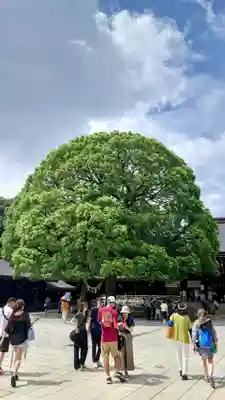 明治神宮(東京都)