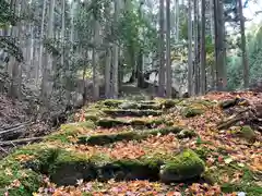 真弓八幡宮の自然