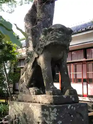 白幡天神社の狛犬