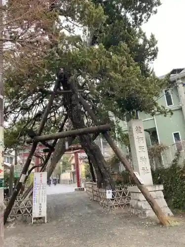 荏柄天神社の{uncategorized: "未分類", other: "その他", undefined: "問題あり", building: "その他建物", grave: "お墓", sacred_gate: "鳥居", guardian: "狛犬", statue: "像", buddha: "仏像", history: "歴史", nature: "自然", garden: "庭園", animal: "動物", pagoda: "塔", temizu: "手水舎", mountain_gate: "山門・神門", sanctuary: "本殿・本堂", subordinate: "末社・摂社", art: "芸術", scenery: "景色", jizo: "地蔵", ema: "絵馬", goshuin: "御朱印", omikuji: "おみくじ", items: "授与品その他", amulet: "お守り", goshuincho: "御朱印帳", eats: "食事", festival: "お祭り", votive_dance: "神楽", shichigosan: "七五三参", wedding: "結婚式", experience: "体験その他", initially: "初詣", around: "周辺", anti_infection: "感染症対策"}