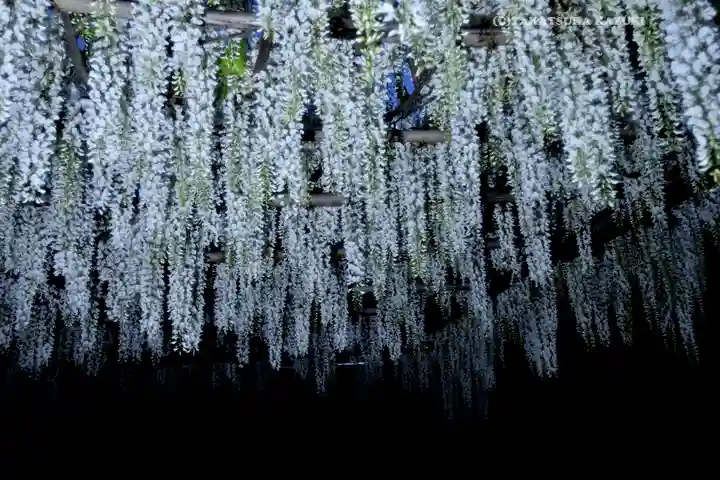 白旗神社(神奈川県)
