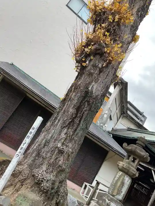 富士浅間神社(愛知県)