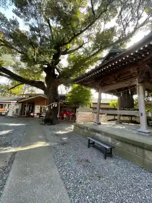 座間神社(神奈川県)
