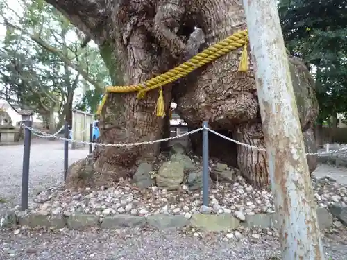 箕曲中松原神社(三重県)