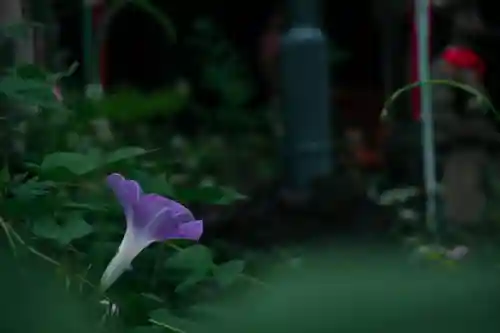 花園稲荷神社(東京都)