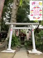 馬場氷川神社(埼玉県)