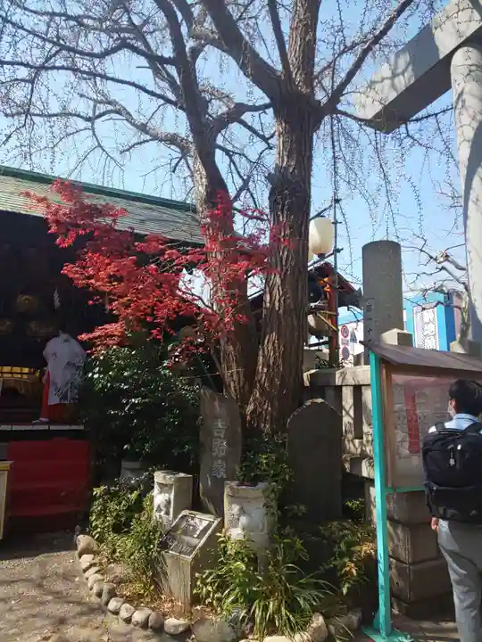 波除神社(波除稲荷神社)の自然