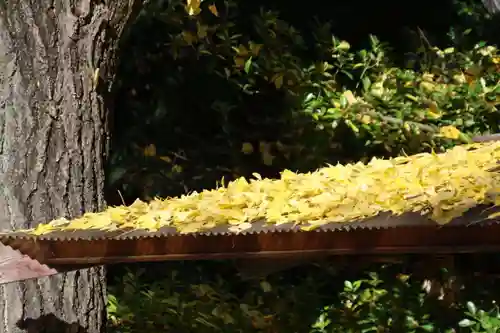 阿邪訶根神社の自然