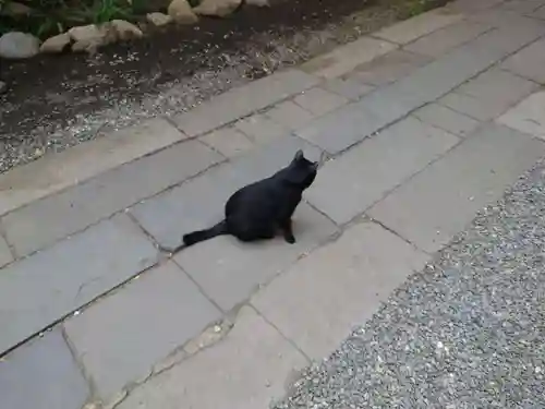 小野照崎神社の動物