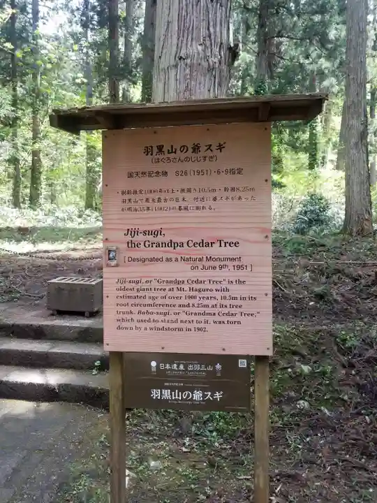 羽黒山五重塔(出羽三山神社)(山形県)