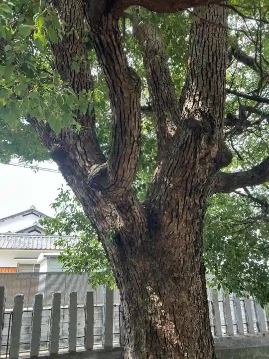 皇太神社(兵庫県)