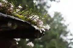 小國神社(静岡県)