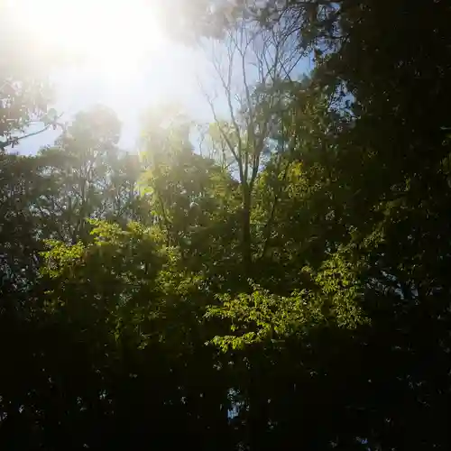 鹿島神宮の自然