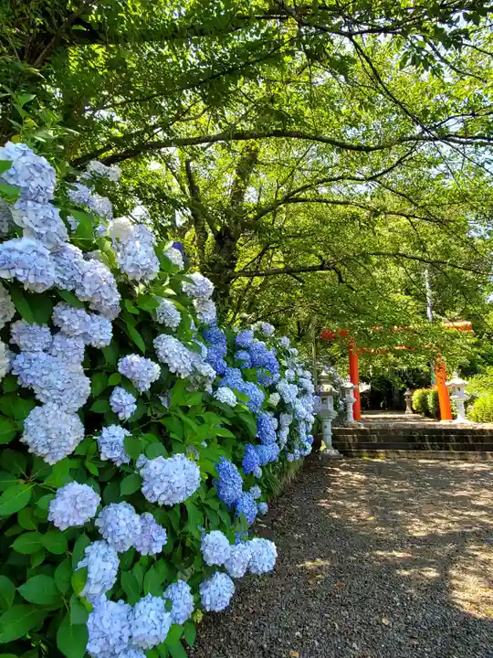 白和瀬神社(福島県)