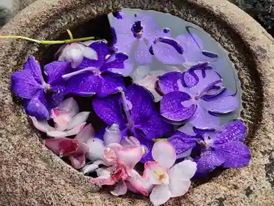 尼崎えびす神社の手水舎
