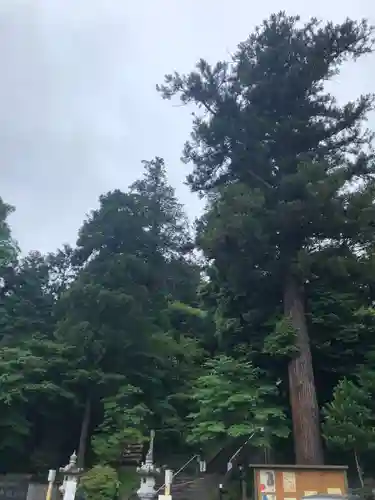 中氷川神社のその他建物