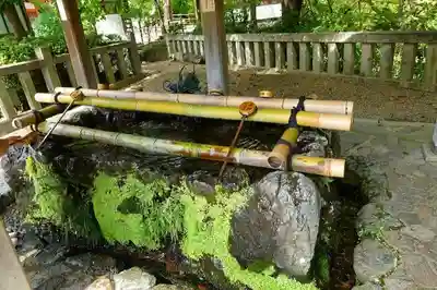 長岡天満宮の手水舎