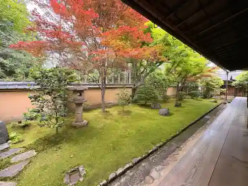 興臨院の{uncategorized: "未分類", other: "その他", undefined: "問題あり", building: "その他建物", grave: "お墓", sacred_gate: "鳥居", guardian: "狛犬", statue: "像", buddha: "仏像", history: "歴史", nature: "自然", garden: "庭園", animal: "動物", pagoda: "塔", temizu: "手水舎", mountain_gate: "山門・神門", sanctuary: "本殿・本堂", subordinate: "末社・摂社", art: "芸術", scenery: "景色", jizo: "地蔵", ema: "絵馬", goshuin: "御朱印", omikuji: "おみくじ", items: "授与品その他", amulet: "お守り", goshuincho: "御朱印帳", eats: "食事", festival: "お祭り", votive_dance: "神楽", shichigosan: "七五三参", wedding: "結婚式", experience: "体験その他", initially: "初詣", around: "周辺", anti_infection: "感染症対策"}