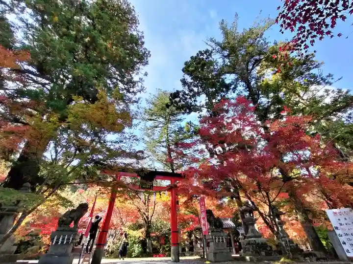 鍬山神社(京都府)