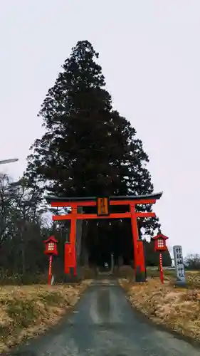 蜂神社の鳥居