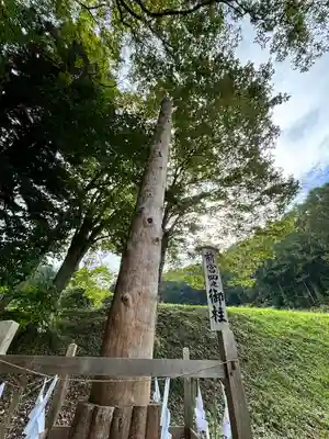 諏訪大社上社前宮(長野県)