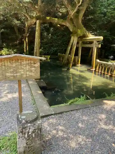 鹿島神宮(茨城県)