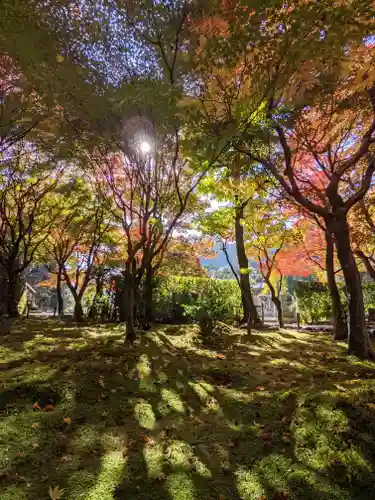 化野念仏寺の自然