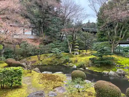 御寺 泉涌寺の庭園