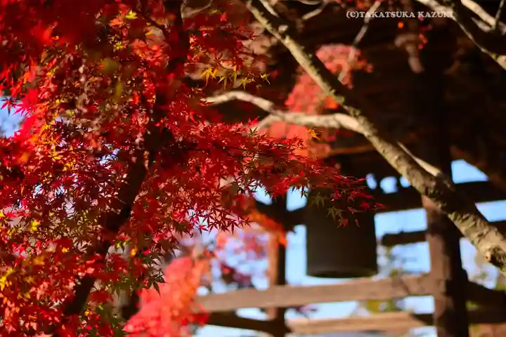 東漸寺(千葉県)