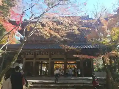 永源寺の山門・神門