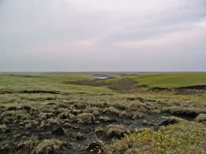 珸瑶瑁金刀比羅神社(北海道)