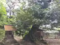 信露貴彦神社(福井県)
