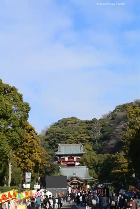 鶴岡八幡宮(神奈川県)