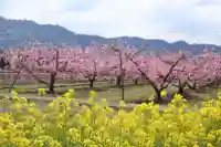 八坂神社(和歌山県)