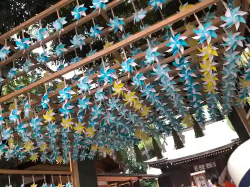 川越氷川神社(埼玉県)