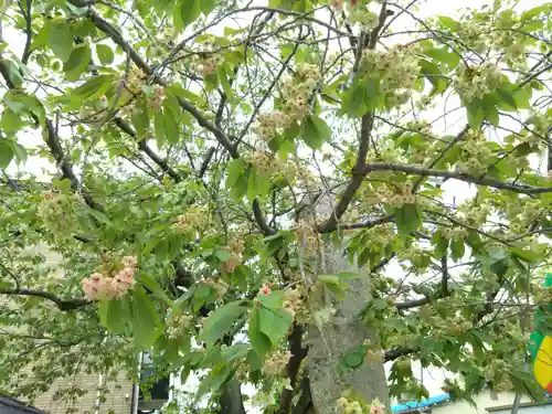 覚照寺(愛知県)